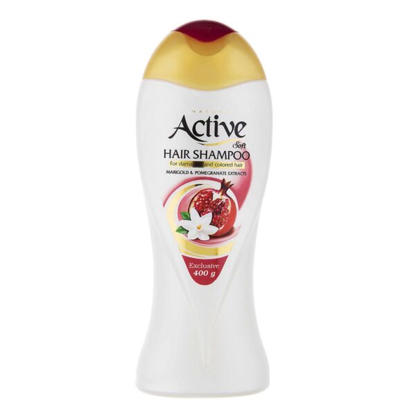 شامپو نچرال برای موهای رنگ شده و آسیب دیده 400 گرمی اکتیو