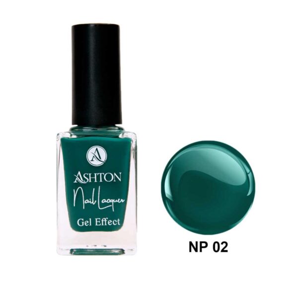 لاک اشتون شماره NP02