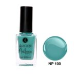 لاک اشتون شماره NP100