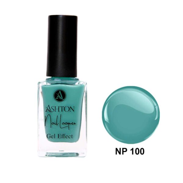 لاک اشتون شماره NP100