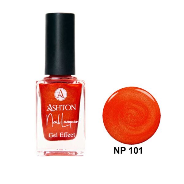 لاک اشتون شماره NP101