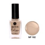 لاک اشتون شماره NP102