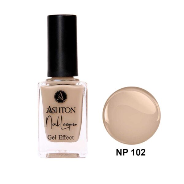 لاک اشتون شماره NP102