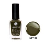 لاک اشتون شماره NP103