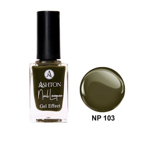 لاک اشتون شماره NP103