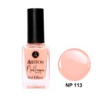 لاک اشتون شماره NP113