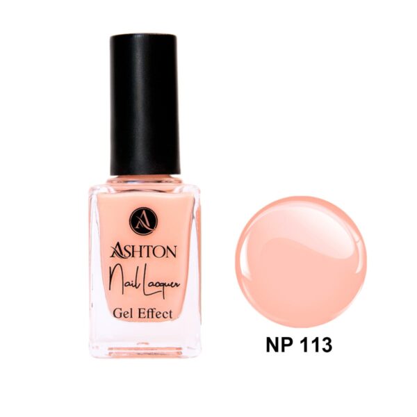 لاک اشتون شماره NP113