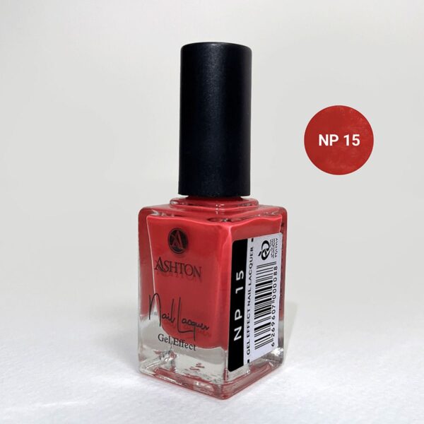 لاک اشتون شماره NP15