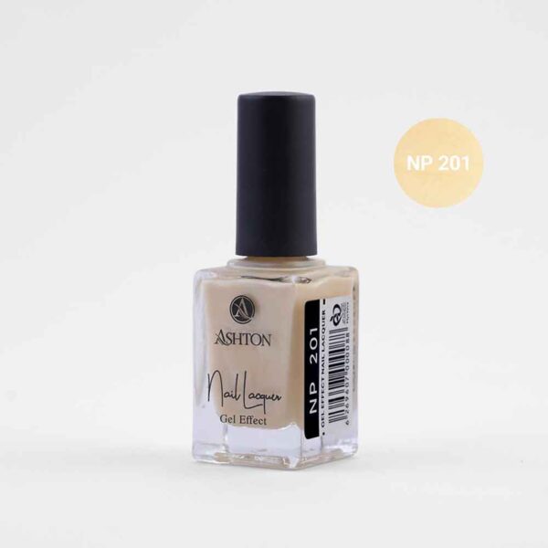 لاک اشتون شماره NP201