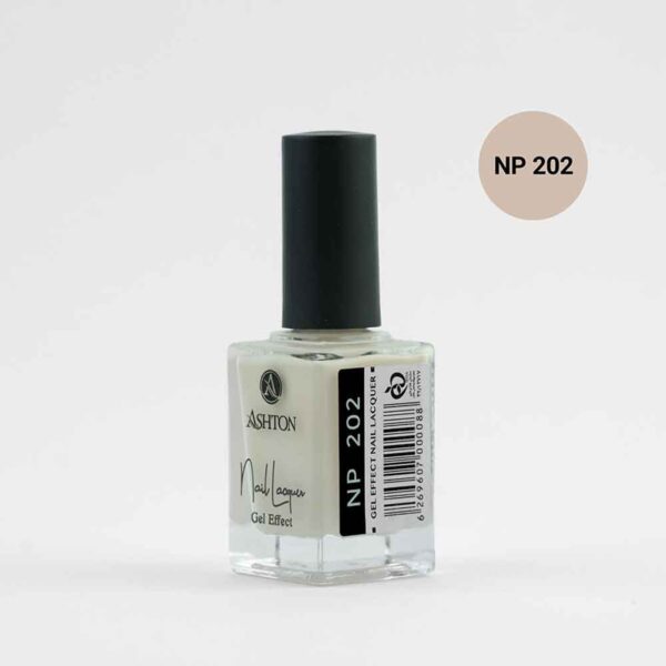 لاک اشتون شماره NP202