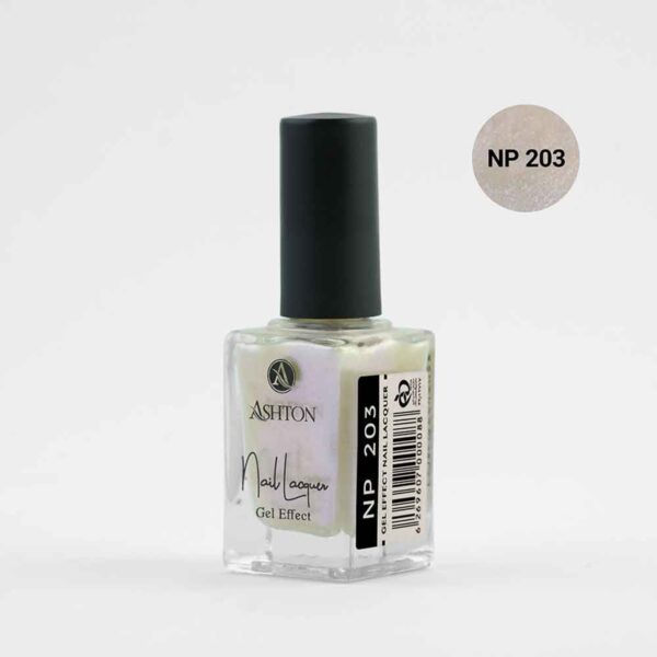 لاک اشتون شماره NP203