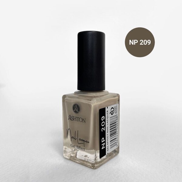 لاک اشتون شماره NP209