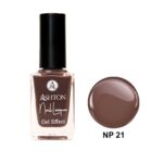 لاک اشتون شماره NP21