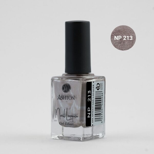 لاک اشتون شماره NP213