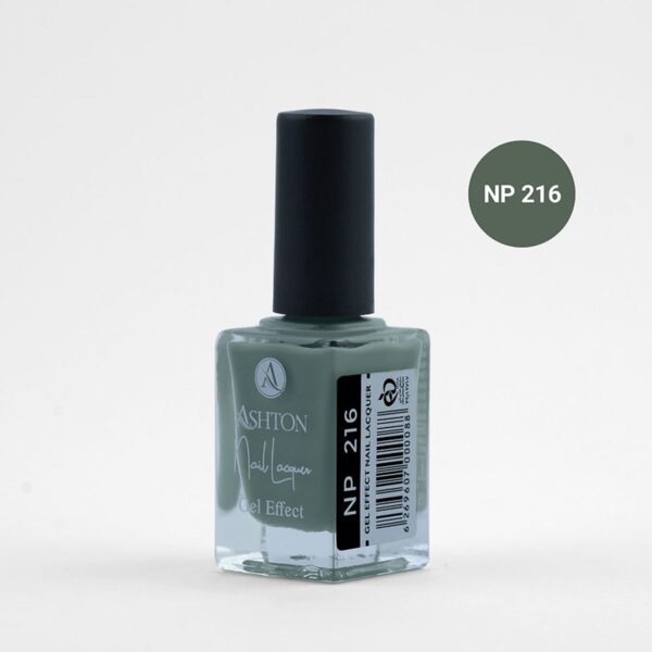 لاک اشتون شماره NP216