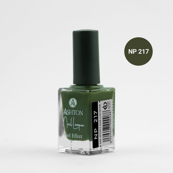 لاک اشتون شماره NP217