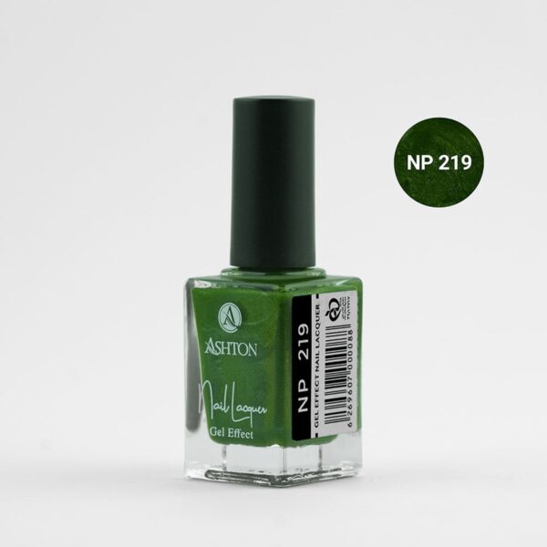 لاک اشتون شماره NP219