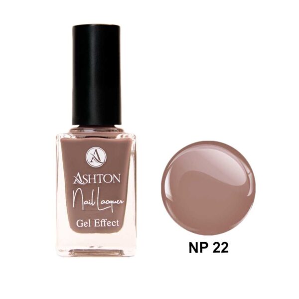 لاک اشتون شماره NP22