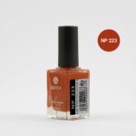 لاک اشتون شماره NP223