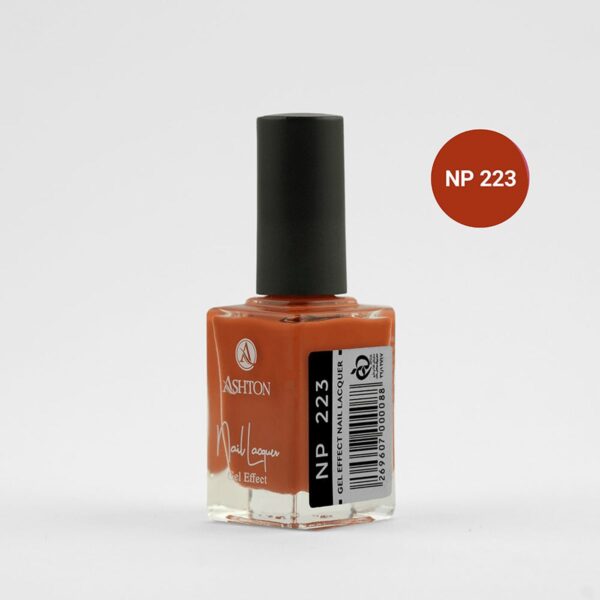 لاک اشتون شماره NP223