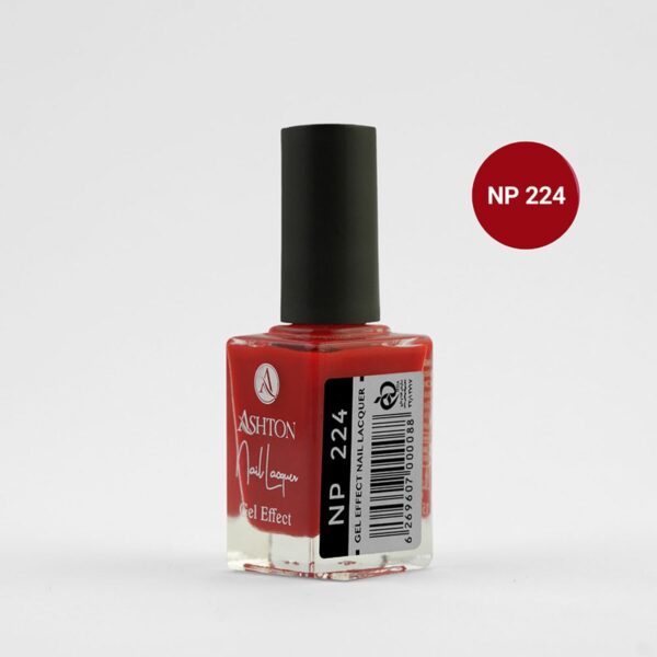 لاک اشتون شماره NP224