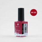 لاک اشتون شماره NP225