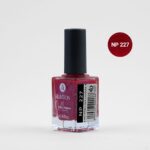 لاک اشتون شماره NP227