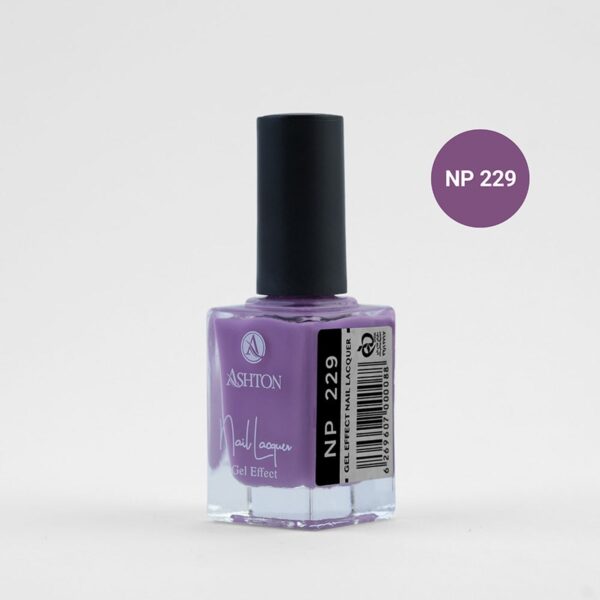 لاک اشتون شماره NP229