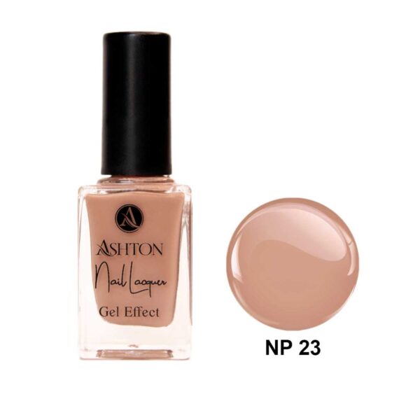 لاک اشتون شماره NP23