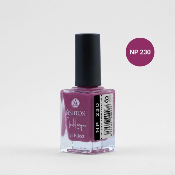 لاک اشتون شماره NP230