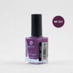 لاک اشتون شماره NP231