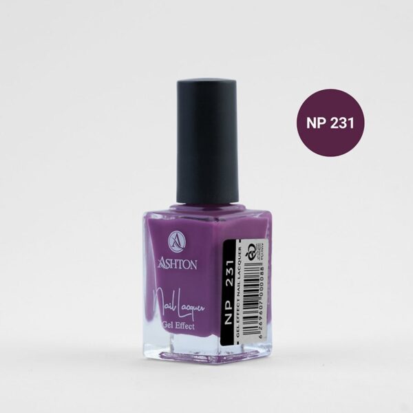 لاک اشتون شماره NP231