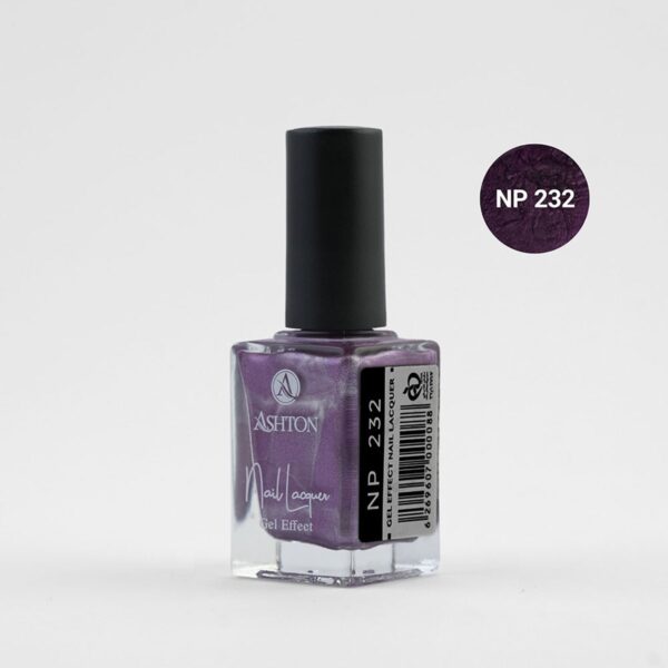 لاک اشتون شماره NP232