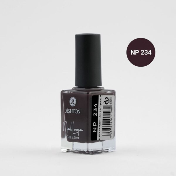 لاک اشتون شماره NP234