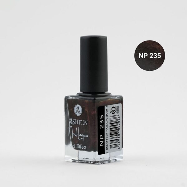 لاک اشتون شماره NP235