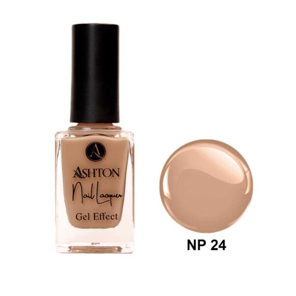 لاک اشتون شماره NP24