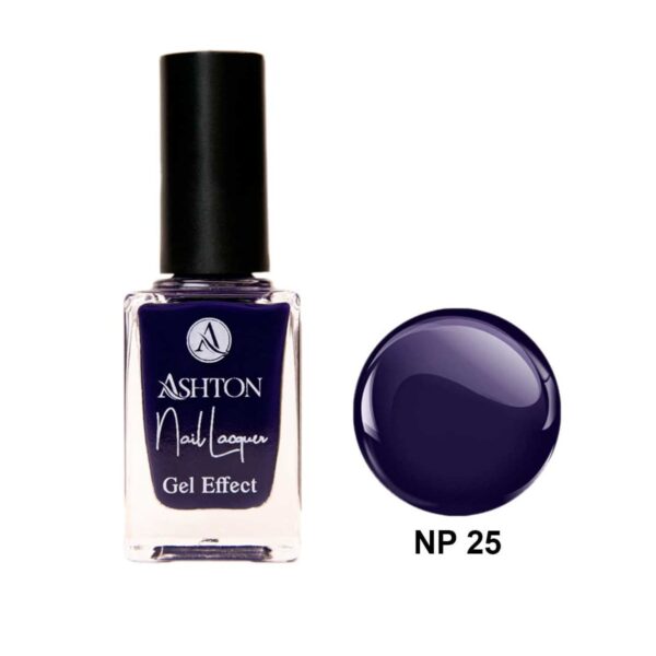 لاک اشتون شماره NP25