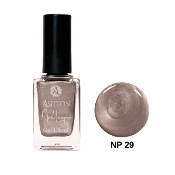 لاک اشتون شماره NP29