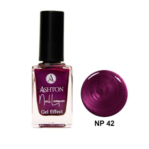 لاک اشتون شماره NP42