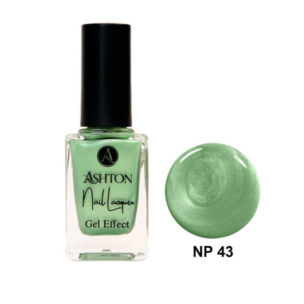 لاک اشتون شماره NP43