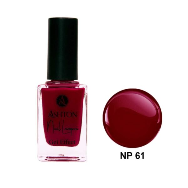 لاک اشتون شماره NP61