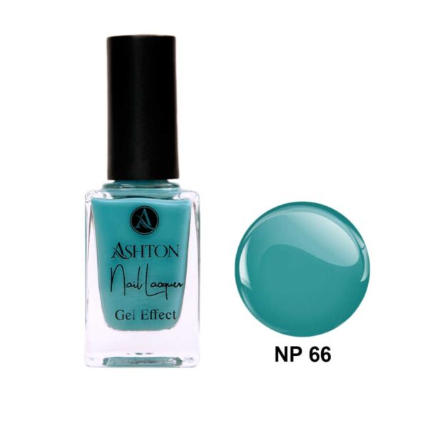 لاک اشتون شماره NP66