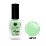 لاک اشتون شماره NP70