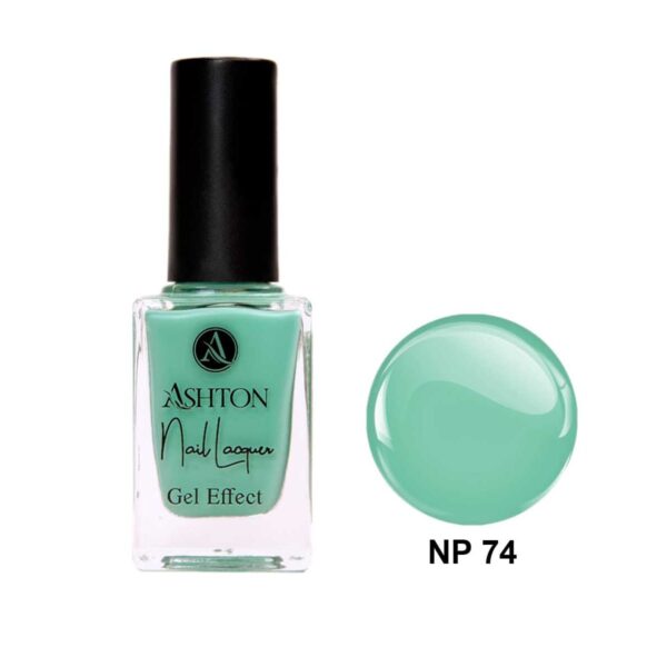 لاک اشتون شماره NP74