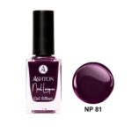 لاک اشتون شماره NP81