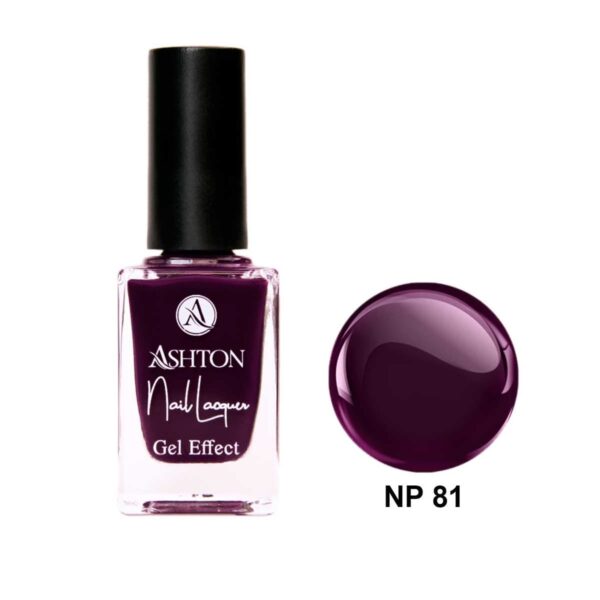 لاک اشتون شماره NP81