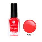 لاک اشتون شماره NP87