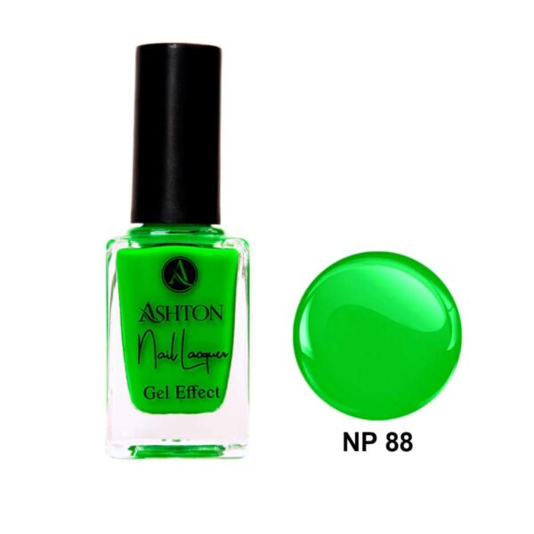 لاک اشتون شماره NP88